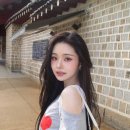 프리지아 이미지