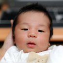재혁 - 고령군 외옥산길 49-3 | 재혁