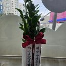 까망코살롱 이미지