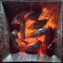 수렴항 화장실 | "8살, 10살, 11살 아이들과 함께 하서해안공원 캠핑 계획하고~ 관성솔밭해변에서 할로윈캠핑 했습니다."