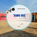 서산 서해바다캠프원 충남 애견 대형견 동반 펜션 5만원 갓성비 후기