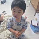 먹고 마시고 걷고. 도쿄에서3일
