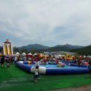 대구 달성 토마토 축제 리얼 후기