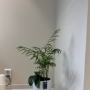 서울오늘플란트치과의원 이미지