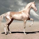 원종우리내과의원 이미지