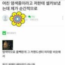 뷰티헤어샵 - 강릉시 | 뷰티헤어샵