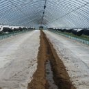 김완태농장 이미지