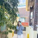 북06 | 5월 여행 강릉 카페 With 인스탁스로 기록한 보물 필름