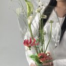 루츠투페탈스