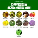 벨르리룸