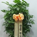 유정 Flower 이미지