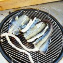 바다&장어 이미지