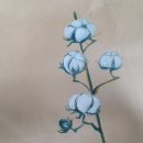 하모니원예아트