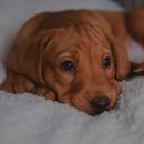 히어로동물병원 이미지