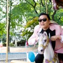 연일비디오 이미지