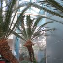 인삼랜드휴게소 이미지