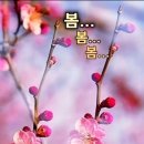 주신