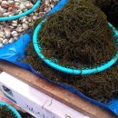 금호시장 이미지