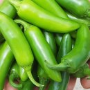 은성농장 이미지