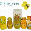 제주과랑 이미지