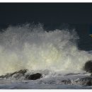 주전마을 이미지