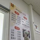 장산로2 | 장항 경성닭곰탕 &amp; 장항 꼴갑축제 다녀왔어요! 군산 근교 서천 닭곰탕 맛집+축제 후기✨