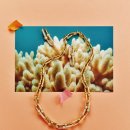 미래청과 이미지