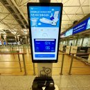 [오사카/일상] 2025년 11월 오사카(간사이공항)~인천공항 입출국 제주항공 간사이공항 2터미널 혼잡도...
