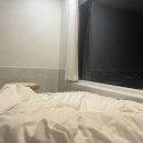 멍디브 이미지