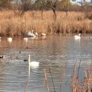 맥도생태공원 이미지