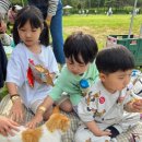 준우목장 이미지