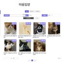 단순 기부 말고 🐱마음입양🐱 이미지