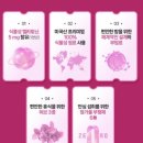 네이처플러스 | 네이처드림 식물성멜라토닌 후기