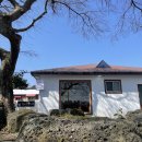 금능이모네 | 제주 한림 맛집 '금능이모네' 내돈내산 후기: 집밥 같은 따뜻함과 진한 보말죽 (주차, 메뉴 정보)