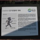 생태다리 이미지