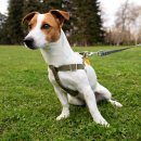 상록 동물병원 이미지