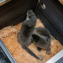 쌍둥이어린이공원 이미지