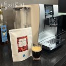 바틀제로핏 이미지