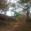 남해-186 이미지