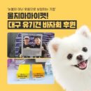 마사랑동물병원