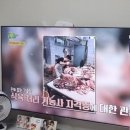 성자한우 이미지