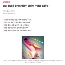 LDL vs HDL 콜레스테롤 수치와 차이점 ( ft. 낮으면, 높으면 ) 실제 후기