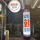 세븐포차 - 울진군 | 동탄 호수공원 / 숨겨진 광어맛집 달빛회포차 후기