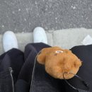 해피 댕 데이 | [공지] 데이식스 성진이 직접 생카를 꾸몄다고? 박성찐이야 생일카페 후기