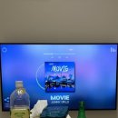 블라우 풀빌라 이미지