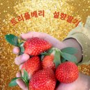 트리플농장 이미지