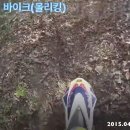킹바이크 이미지