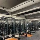 피트니스공 이미지