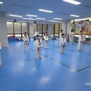 강호 해솔 태권도 이미지