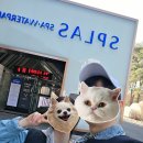 GS25 예산덕산점 | 충남 예산 덕산 1박2일 스플라스 리솜 온천 워터파크 하루종일 놀다 온 후기